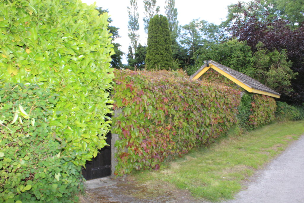 Barrybeg Lodge, Barry Beg, Athlone, Co. Roscommon