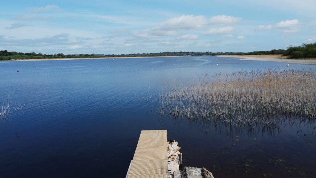 Mallard, Coosan Point, Athlone, Co. Westmeath N37 D6V3