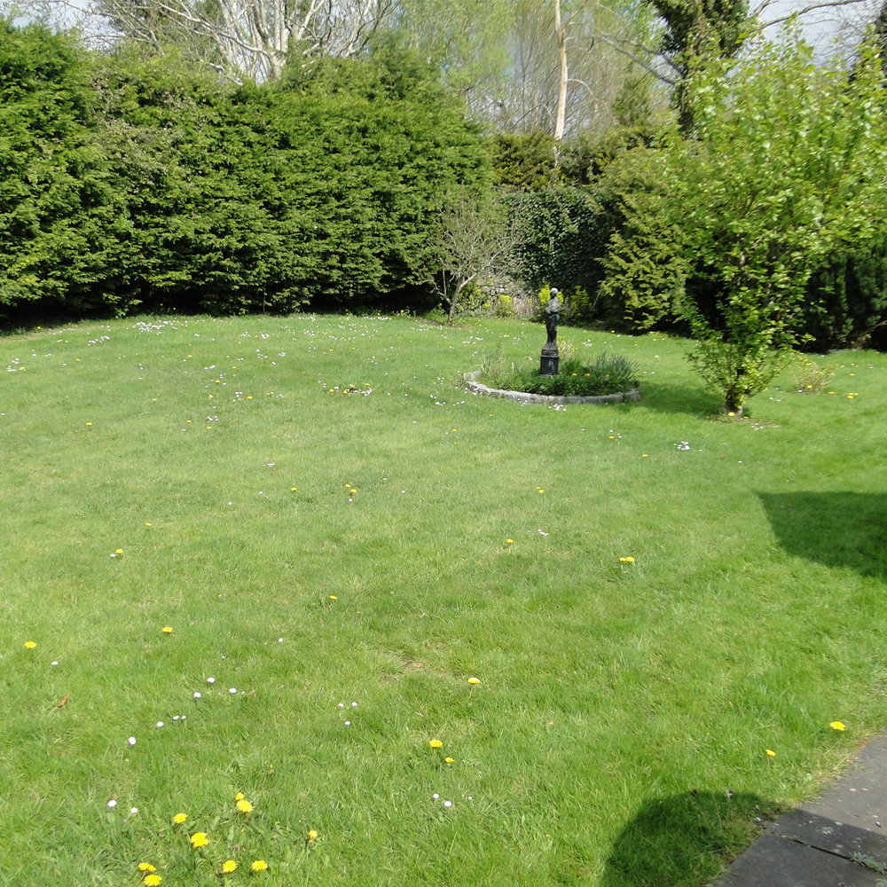 6 Arcadia Court, Athlone, Co. Westmeath 6 Arcadia Court, Athlone, Co. Westmeath