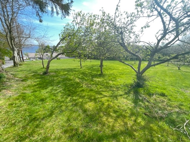 Mallard, Coosan Point, Athlone, Co. Westmeath N37 D6V3