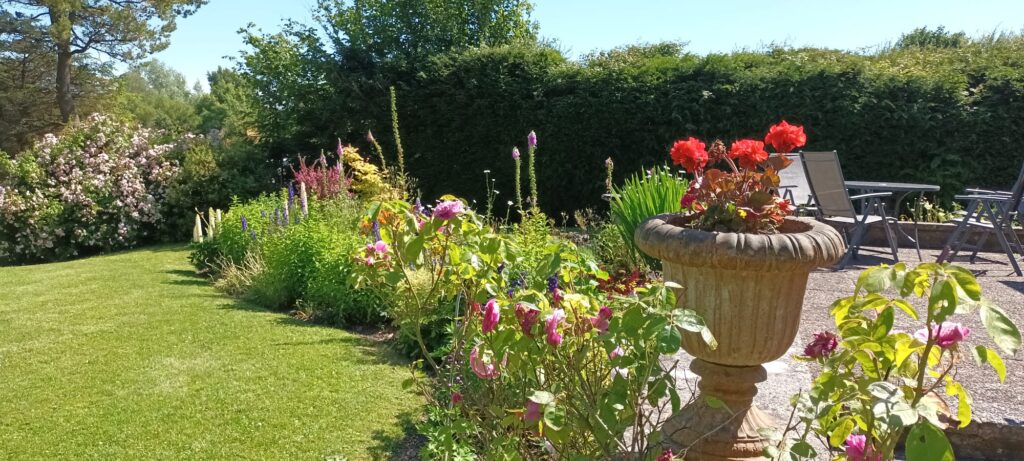 Mallard, Coosan Point, Athlone, Co. Westmeath N37 D6V3