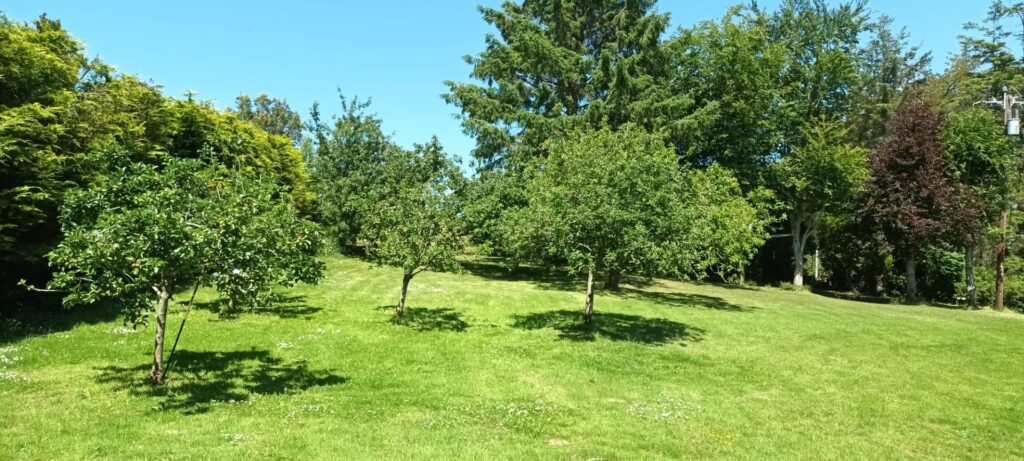 Mallard, Coosan Point, Athlone, Co. Westmeath N37 D6V3