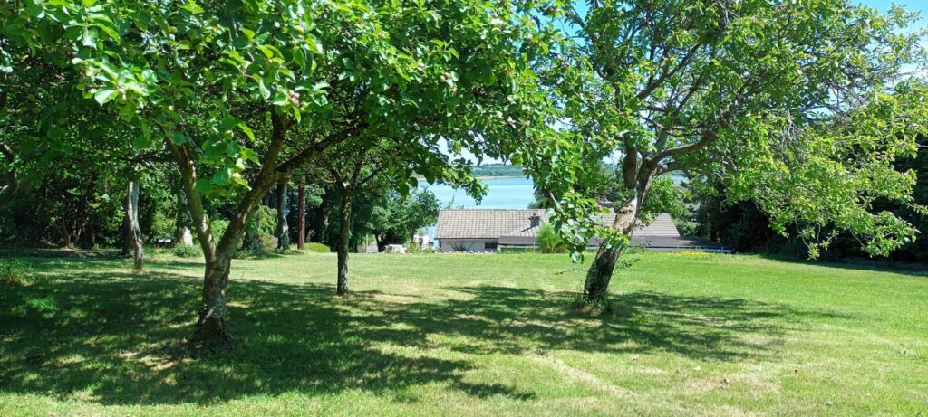 Mallard, Coosan Point, Athlone, Co. Westmeath N37 D6V3