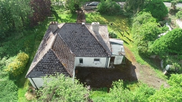 Golden Island, Athlone, Co. Westmeath N37 PW44