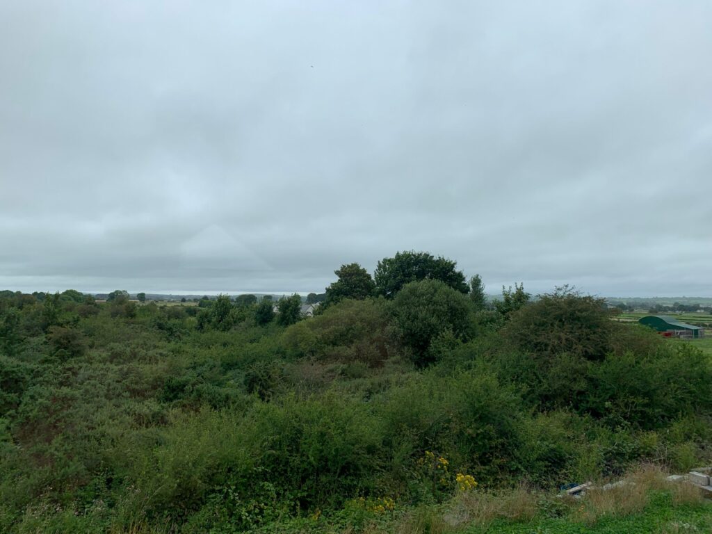 Cam, Brideswell, Co. Roscommon, N37Y656 Cam, Brideswell, Co. Roscommon, N37Y656