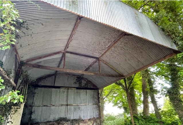 Golden Island, Athlone, Co. Westmeath N37 PW44