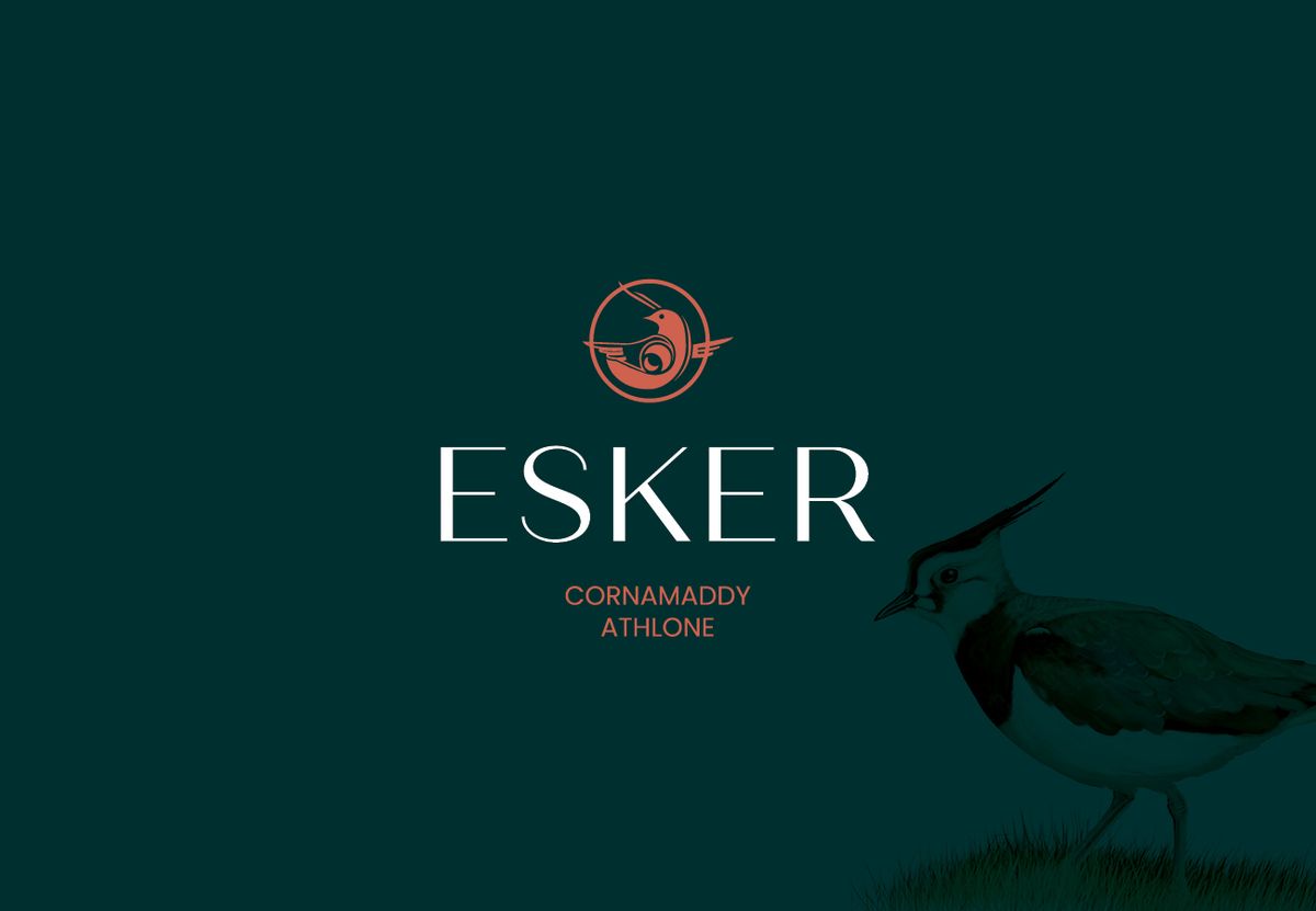 Esker, Drumaconn, Cornamaddy, Athlone, Co. Westmeath.